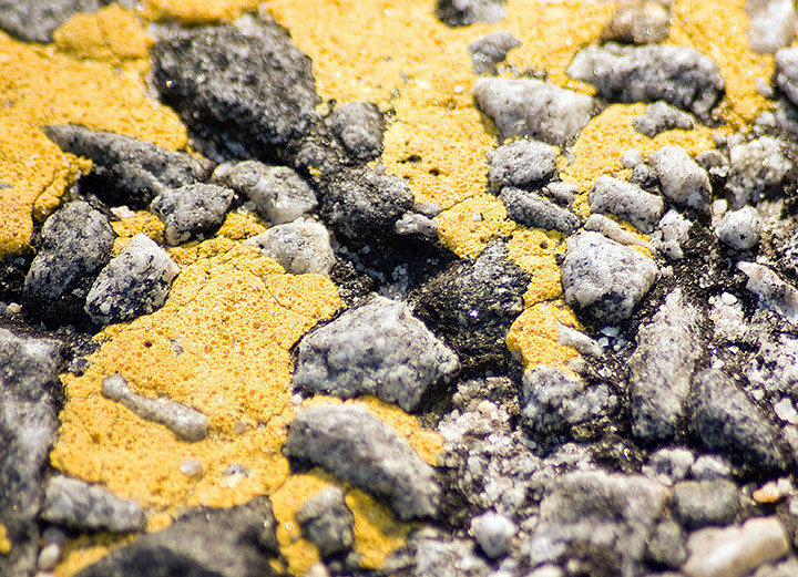 Yellow Textures