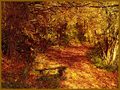Hidden in the Woods