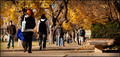 Campus in Fall