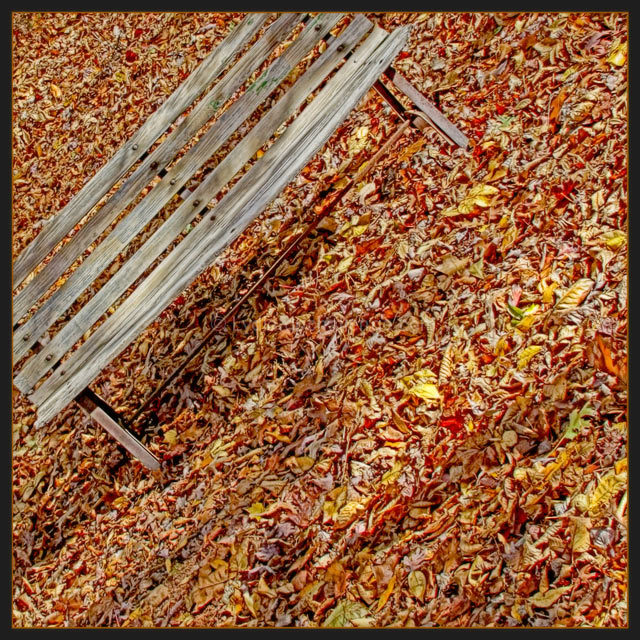 Autumn Bench