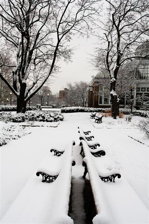 Benches