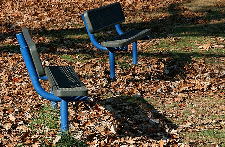 Pair of Park Benches