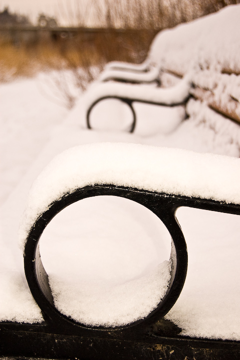 Bench in Winter