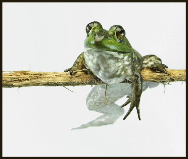 Hangin' on...