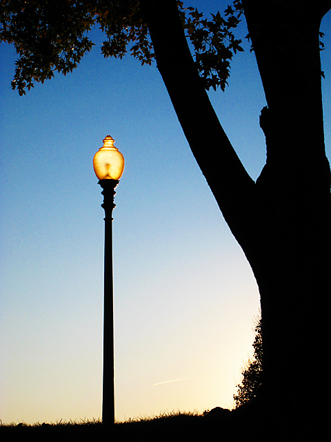 Lamp with Friend