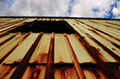 Vertical Rustics.