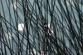 Criss Cross wire grass