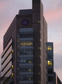 sunset, by a medical student
