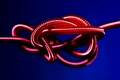 red spring knot