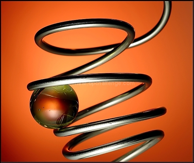 Squiggle