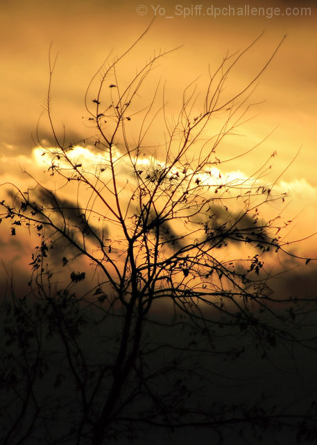 Reaching for the sky