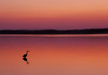 Once Upon a Sunset