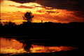 Nature's Palette