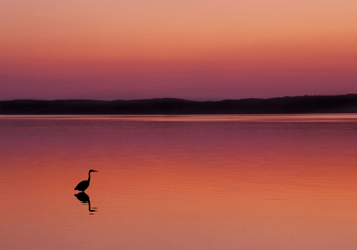 Once Upon a Sunset