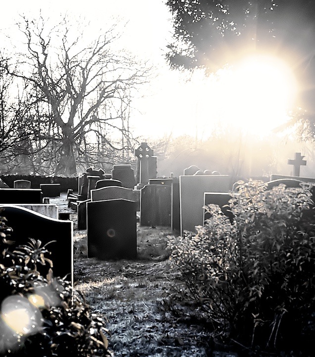 Gothic Dawn