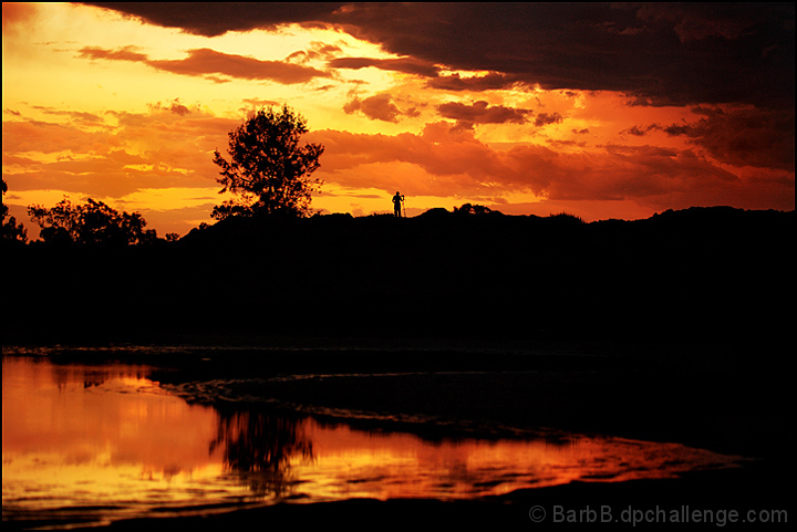 Nature's Palette