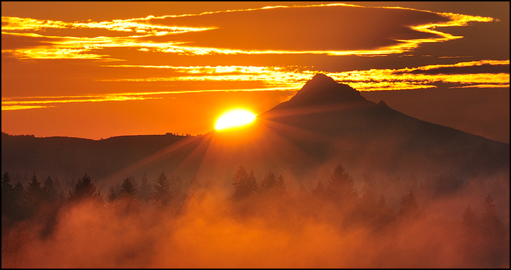The Beginning Of A Perfect Day..