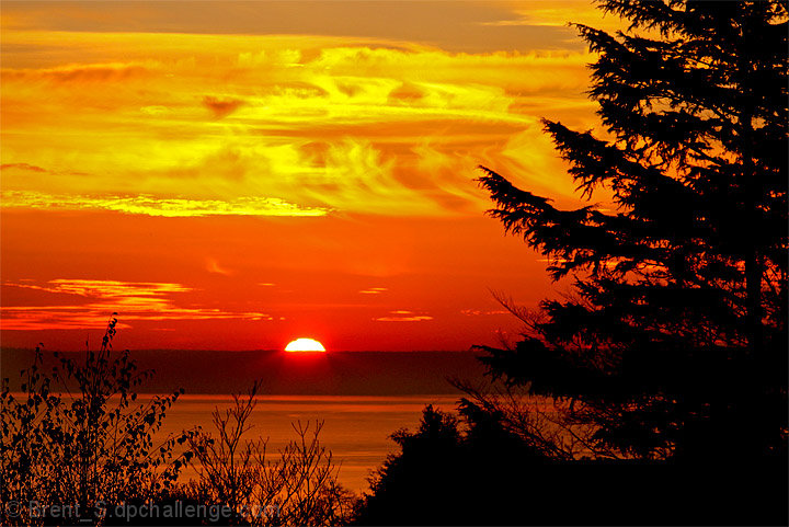 Pacific Northwest  Fire