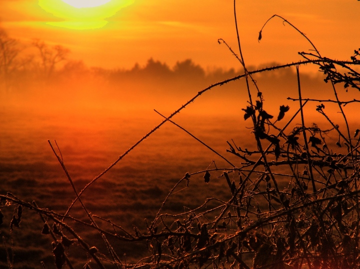 Misty morning