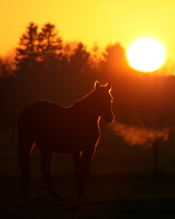 Frosty Sunset