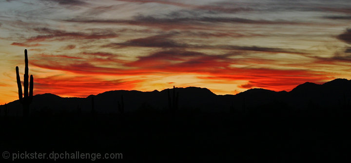 Southwest Sunset