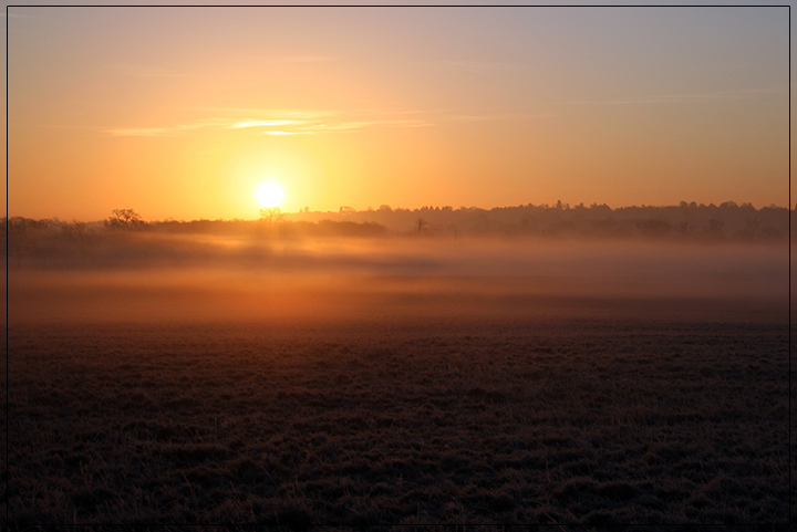 Morning Mist on fire