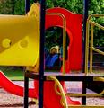 Early Primary Colors