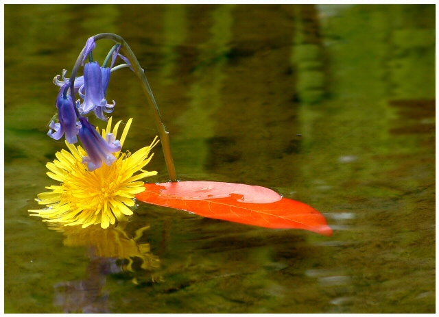 Red Blue Yellow