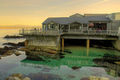 Monterey Bay Aquarium
