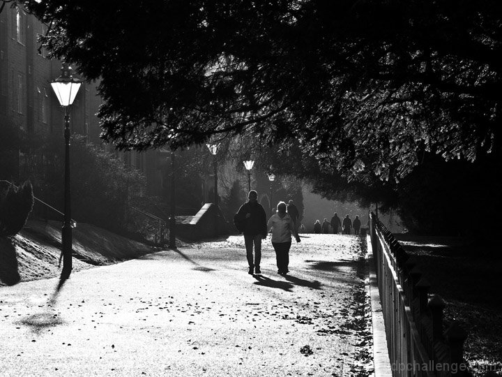 Sunny Sunday stroll