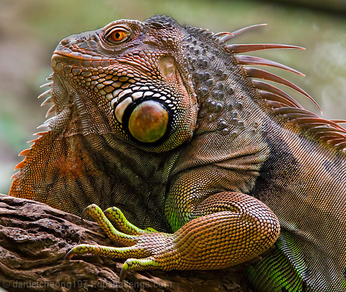 Don't Mess with Me!