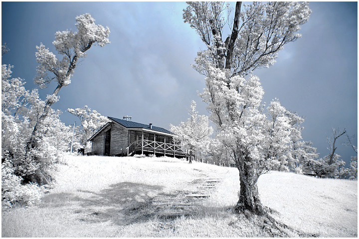 Infrared Winter