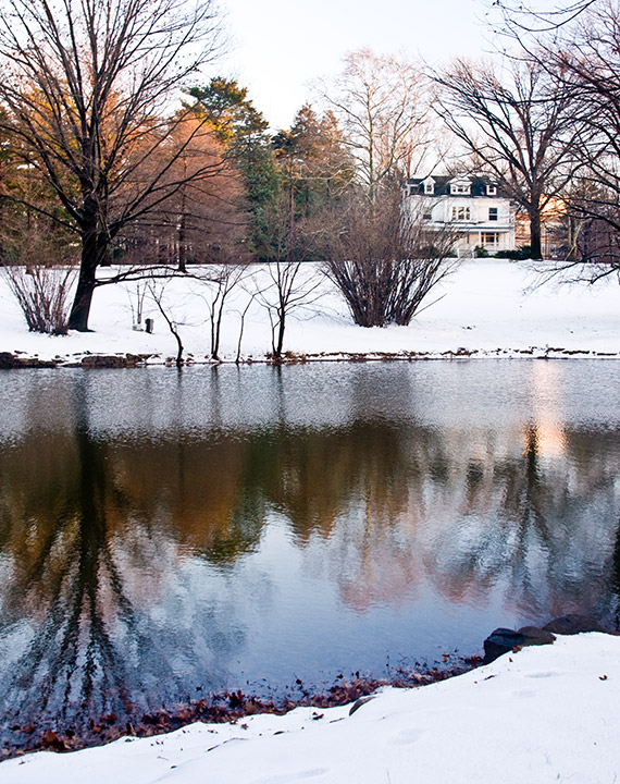 On Winter's Pond