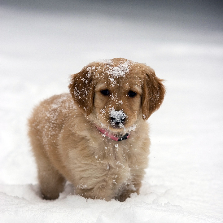 Sara's First Snow