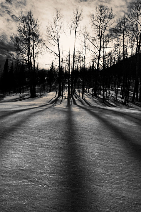 winter shadows