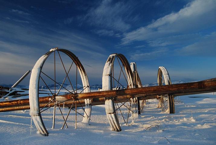 Wheel Lines