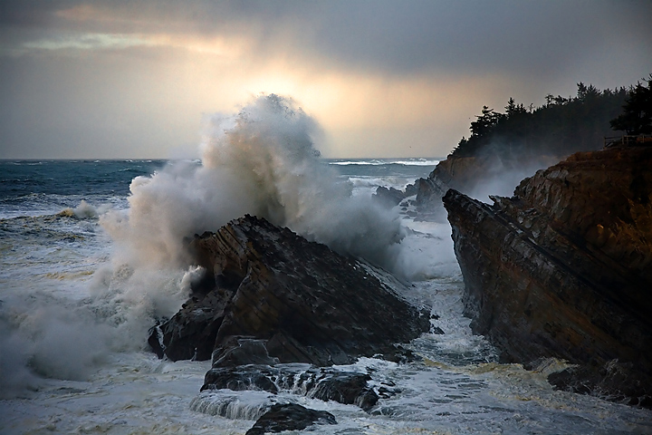 The Sea's Fury