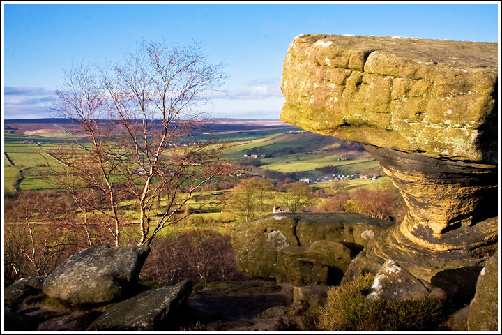 From Brimham Rocks