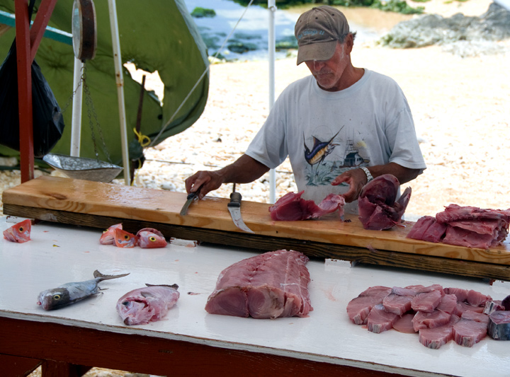 Fish Heads For Sale