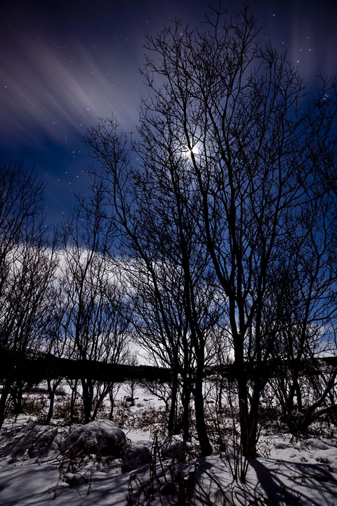 Full moon