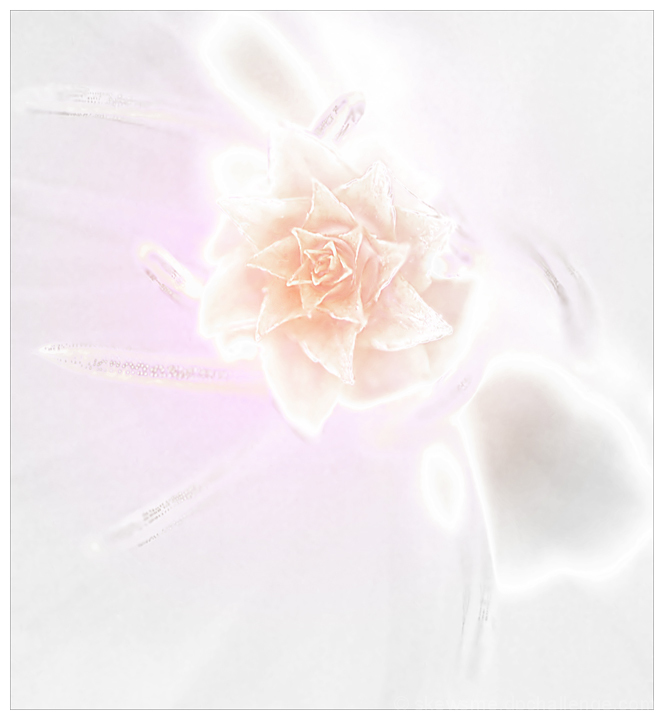 starburst