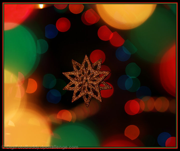 Happy Holidays
