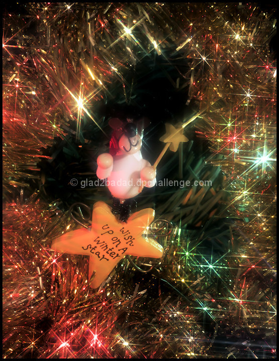 Wish Upon A Winter Star