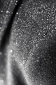 All kinds of bokeh!!!!!!