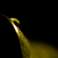 Drop