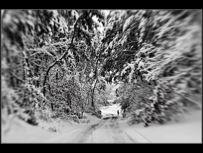 I'm Dreaming of a White Christmas
