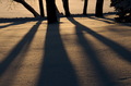 Long Shadows