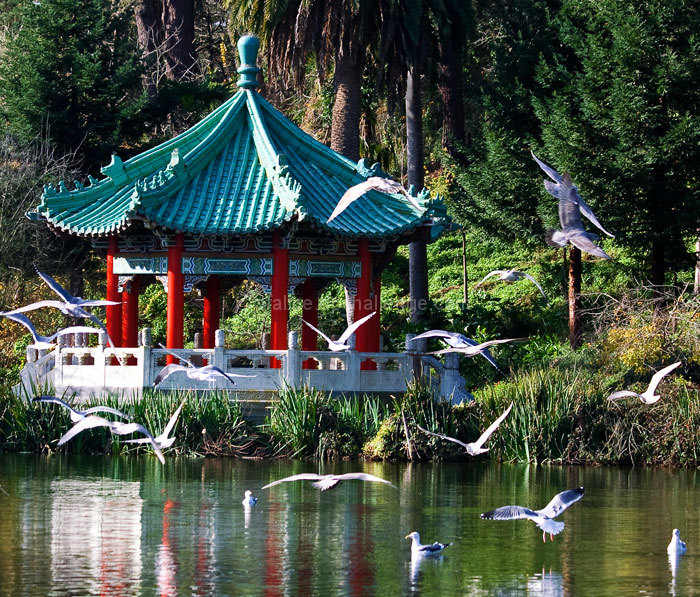 Pagoda Flyby