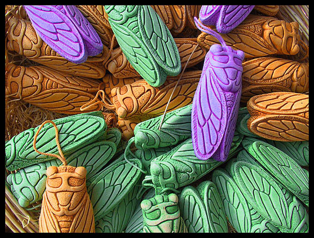 soap bugs