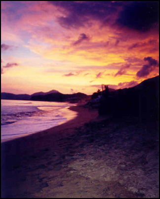Purple Haze